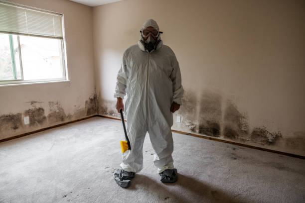 Best HVAC Mold Remediation in Elkhart, TX